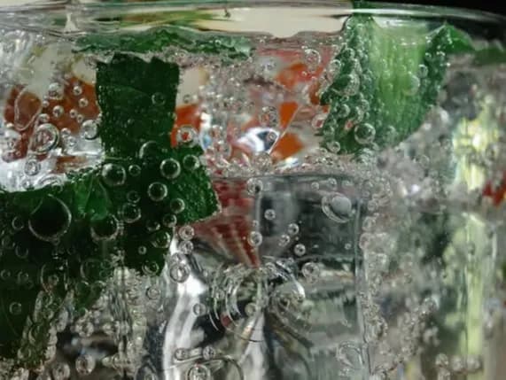 Tonic Water