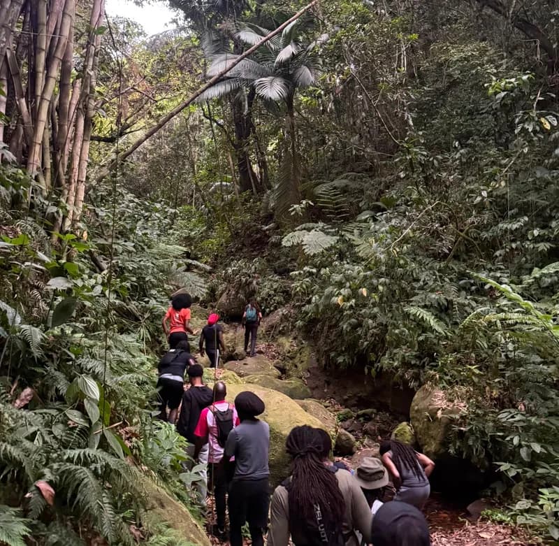 Rainforest & Estate Adventure (Per Person)